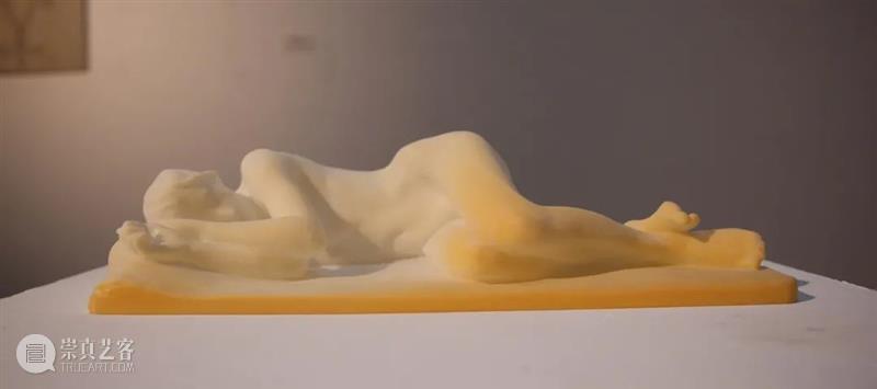 展览回顾 | 回响 ECHO 视频资讯 张嘉宁 ECHO 策展人 Curator 陆佳 Jia 艺术家 Artists 何艺雯 严许雨 张嘉宁 崇真艺客